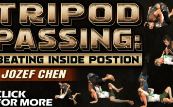 Tripod Passing Jozef Chen DVD Review: Beating Inside Position