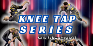 Sam Schwartzapfel Knee Tap Series DVD 2024 Review