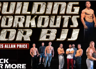 Charles Allan Price Building Workouts For BJJ DVD Review