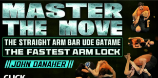 Master The Move Straight Arm Bar John Danaher DVD Review