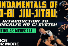 Nicholas Meregali No-Gi System DVD Unpacked: A Detailed Review