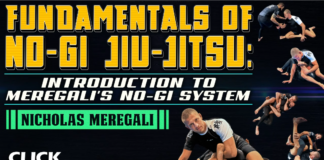 Nicholas Meregali No-Gi System DVD Unpacked: A Detailed Review