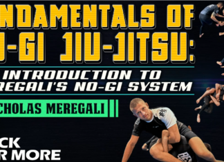 Nicholas Meregali No-Gi System DVD Unpacked: A Detailed Review