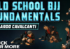 Old School BJJ Ricardo Cavalcanti Fundamentals DVD Review