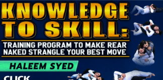 Haleem Syed Rear Naked Strangle Your Best Move DVD Review