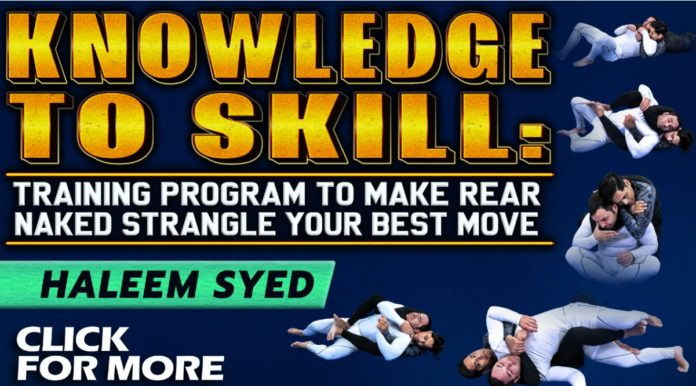 Haleem Syed Rear Naked Strangle Your Best Move DVD Review