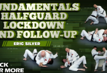 Eric Silver Half Guard Lockdown DVD Review