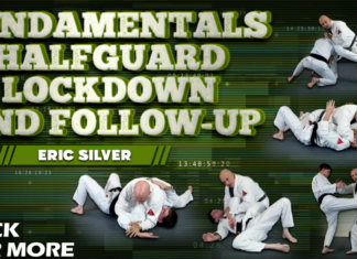 Eric Silver Half Guard Lockdown DVD Review