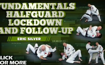 Eric Silver Half Guard Lockdown DVD Review