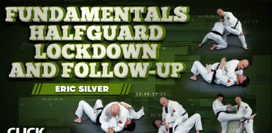 Eric Silver Half Guard Lockdown DVD Review