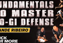 No-Gi Defense Xande Ribeiro DVD Review