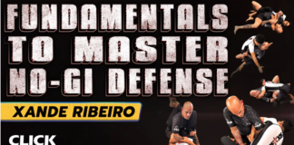 No-Gi Defense Xande Ribeiro DVD Review