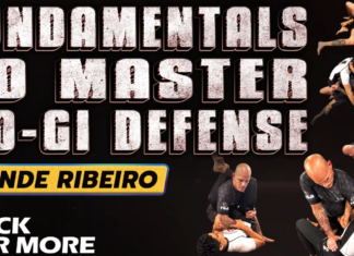 No-Gi Defense Xande Ribeiro DVD Review