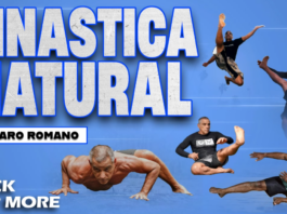 Ginastica Natural Alvaro Romano DVD Review