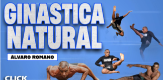 Ginastica Natural Alvaro Romano DVD Review