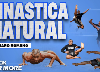 Ginastica Natural Alvaro Romano DVD Review