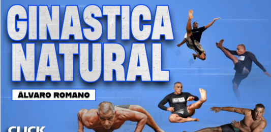 Ginastica Natural Alvaro Romano DVD Review