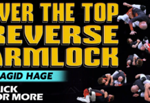 Reverse Armlock Magid Hage DVD Review