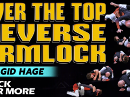 Reverse Armlock Magid Hage DVD Review