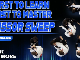 Master Scissor Sweep Ryan Scialoia DVD Review