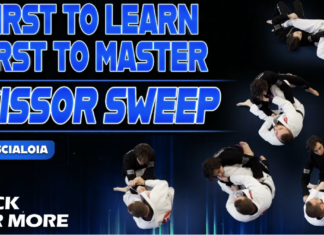 Master Scissor Sweep Ryan Scialoia DVD Review