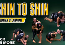 Shin to Shin Eoghan O'Flanagan DVD Review