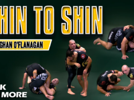 Shin to Shin Eoghan O'Flanagan DVD Review