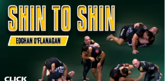 Shin to Shin Eoghan O'Flanagan DVD Review