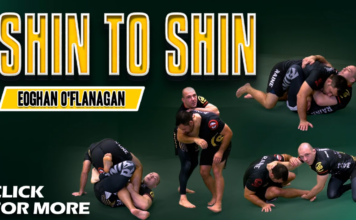 Shin to Shin Eoghan O'Flanagan DVD Review