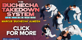 The Buchecha Gi Takedown System DVD Review