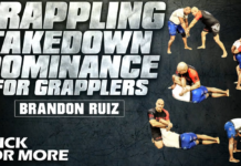 Grappling Takedown Dominance Brandon Ruiz DVD Review