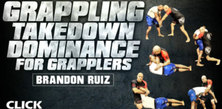 Grappling Takedown Dominance Brandon Ruiz DVD Review