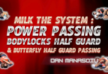 Power Passing Body Locks Dan Manasoiu DVD Review