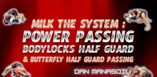 Power Passing Body Locks Dan Manasoiu DVD Review