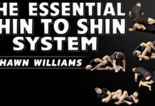 Essential Shin To Shin System Shawn Williams DVD Review