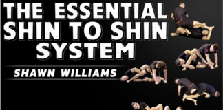 Essential Shin To Shin System Shawn Williams DVD Review