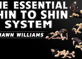 Essential Shin To Shin System Shawn Williams DVD Review