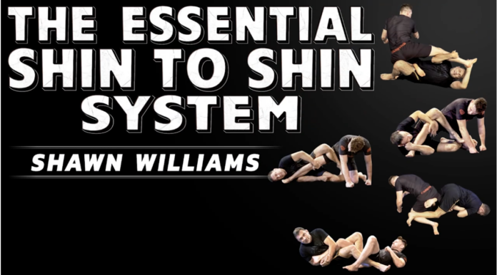 Essential Shin To Shin System Shawn Williams DVD Review