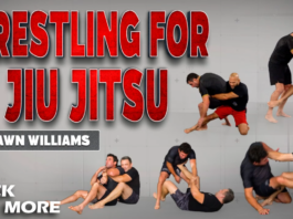 Wrestling For Jiu-Jitsu Shawn Williams DVD Review