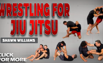 Wrestling For Jiu-Jitsu Shawn Williams DVD Review