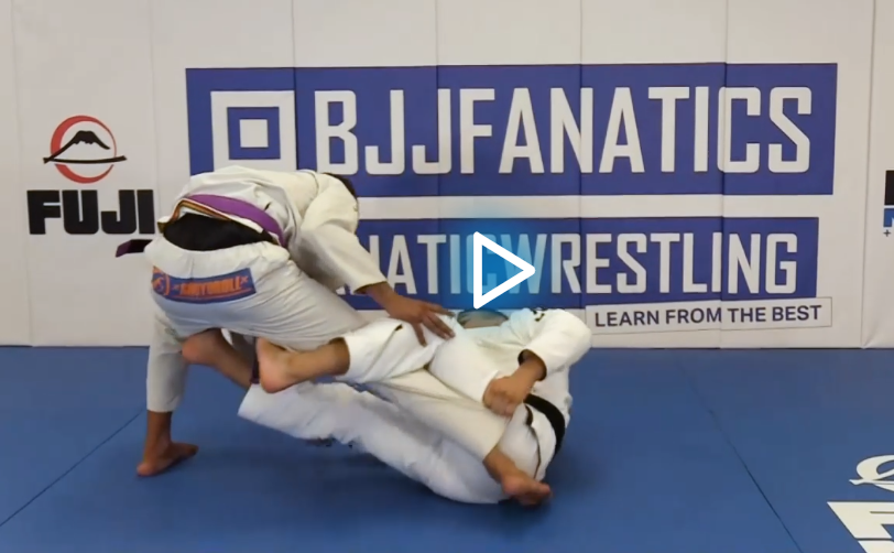 Baby Shark Guard System Diogo Reis DVD Preview