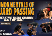 Breaking Their Guard Mikey Musumeci DVD Review