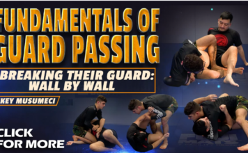 Breaking Their Guard Mikey Musumeci DVD Review