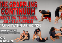 Grappling Continuum DVD Review Zack Esposito