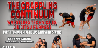 Grappling Continuum DVD Review Zack Esposito