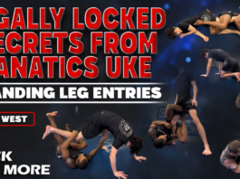 Standing Leg Entries Alex West DVD Review