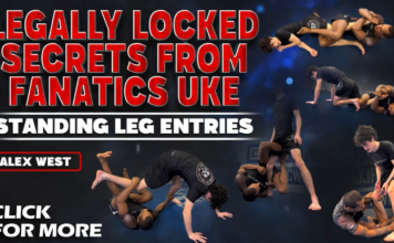 Standing Leg Entries Alex West DVD Review