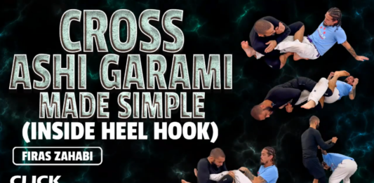 Cross Ashi Garami Firas Zahabi DVD Review