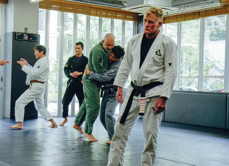 New Chris Haueter BJJ Belt System 