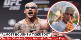 Charles Oliveira Bird Collection Includes $80K in Exotic Parrots - And Nearly a Tiger